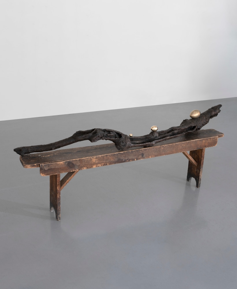 Dorothy Cross
Branch, 2017
cast bronze branch and three polished bronze eggs
20 x 203 x 15 cm / 7.9 x 79.9 x 5.9 in