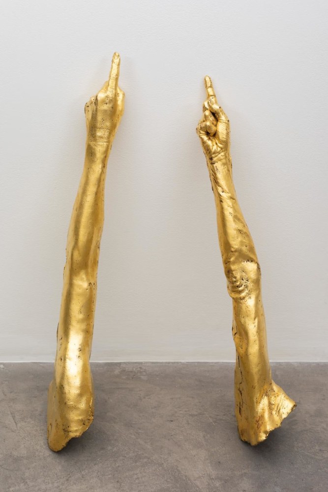 Dorothy Cross,&amp;nbsp;Arms,&amp;nbsp;1996 - 2017, cast bronze, gilded 24 carat gold, 16 x 80 x 9 cm / 6.3 x 31.5 x 3.5 in each