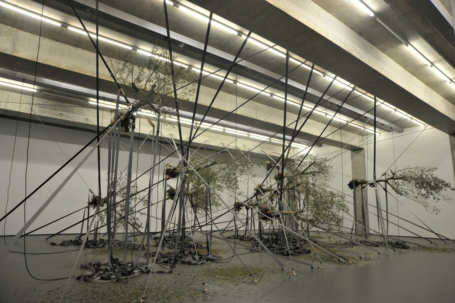 Siobh&amp;aacute;n Hapaska
some are nights other stars, 2016
Towner Eastbourne, UK
Photo: Alison Bettles

&amp;nbsp;