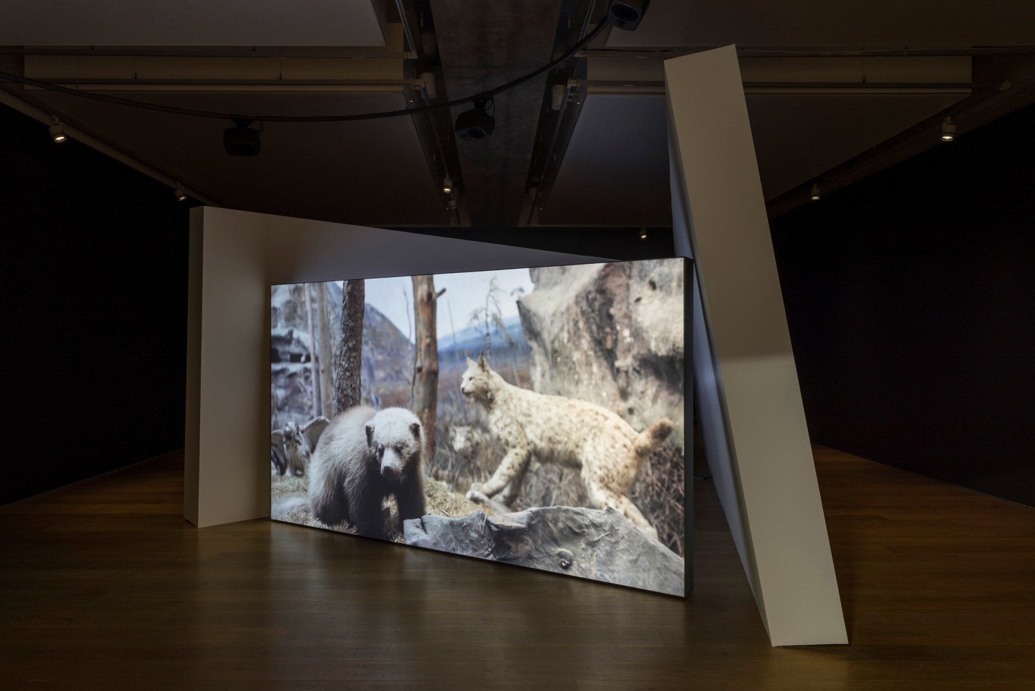 Gerard Byrne
Jielemeguvvie guvvie sjisjnjeli (Film inside an image), 2024
Towner Eastbourne, UK
Photo: Rob Harris