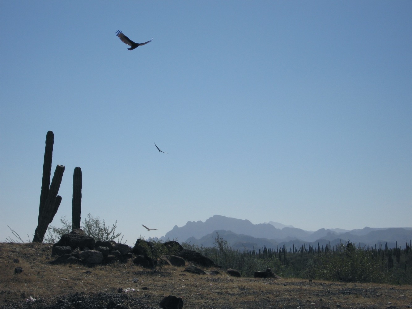Jaki Irvine&amp;nbsp;
Old conditions for new love, 2008
lightjet print on fuji crystal paper framed
edition of 3 + 1 AP
80.5 x 98.5 cm / 31.7 x 38.8 in&amp;nbsp;
Collection of Irish Museum of Modern Art, Dublin