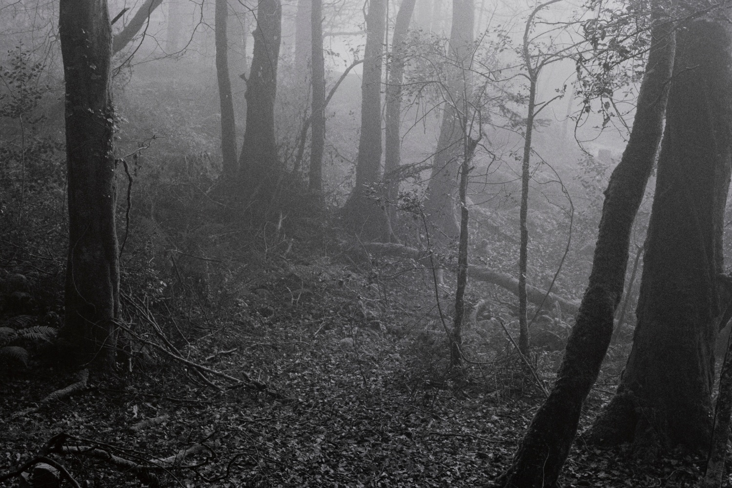 Willie Doherty

Unknown,&amp;nbsp;2024

Pigment print on Hahnem&amp;uuml;hle Photo Rag Baryta 315gsm, edition of 3

109 x 135.5 cm / 42.9 x 53.3 in framed