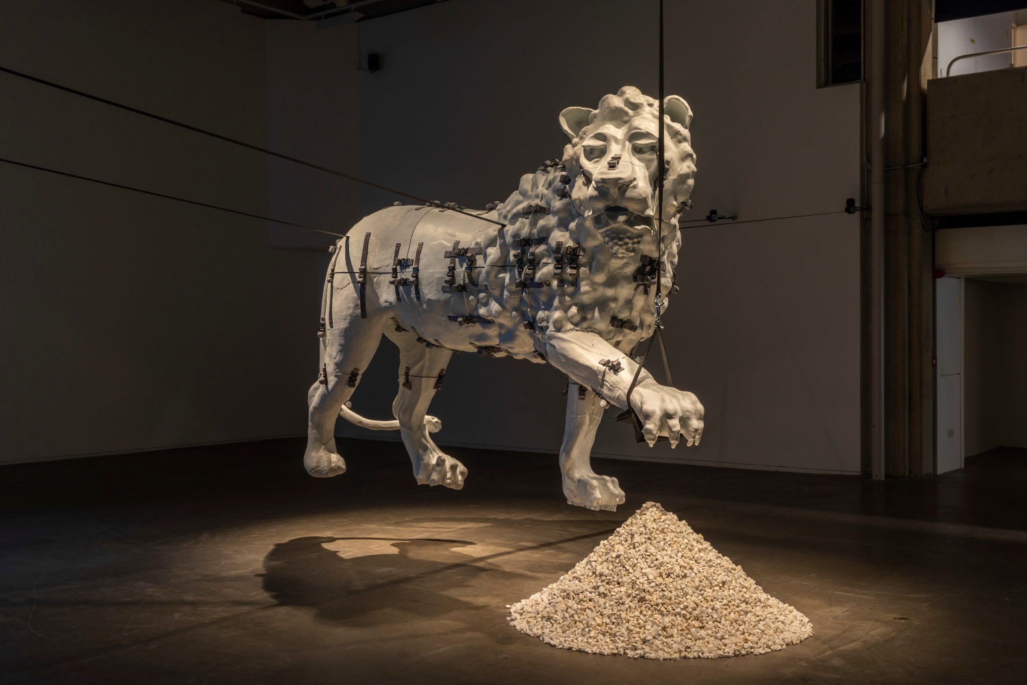 Siobh&aacute;n Hapaska, Medici Lion