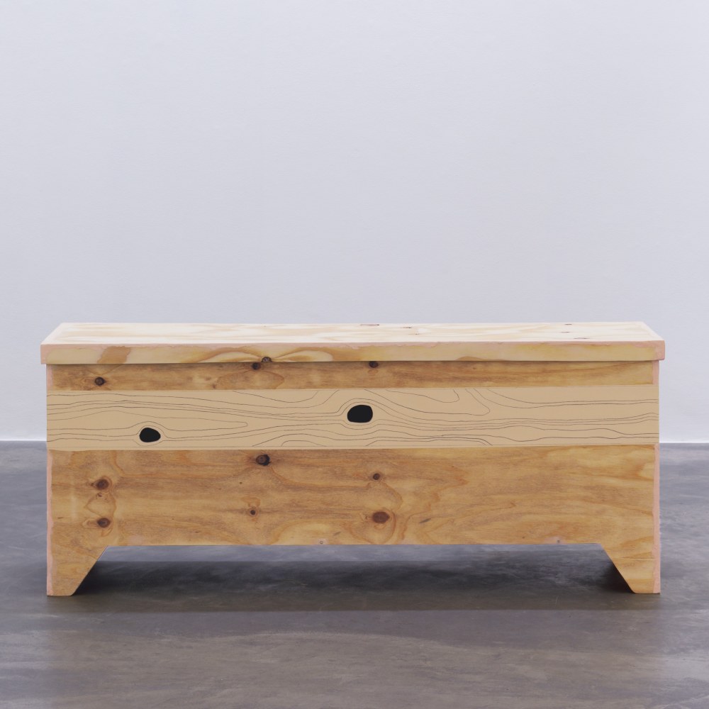 Hannah Fitz

Pinocchio&amp;rsquo;s Bitter End (Lying Knows What Eye Nose Knot)
2022

wood, paint, graphite

64 x 157 x 56 cm / 25.2 x 61.8 x 22 in