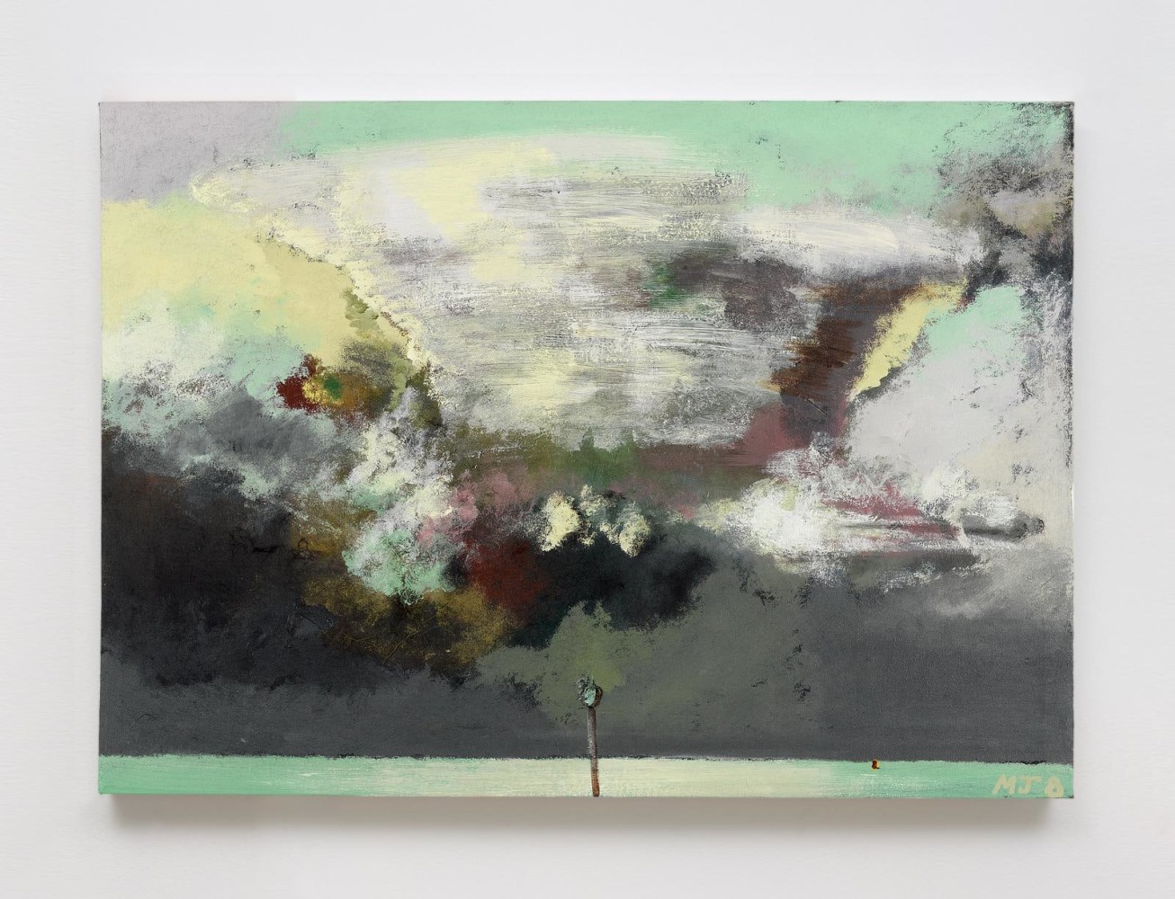 Merlin James  The Anvil Cloud