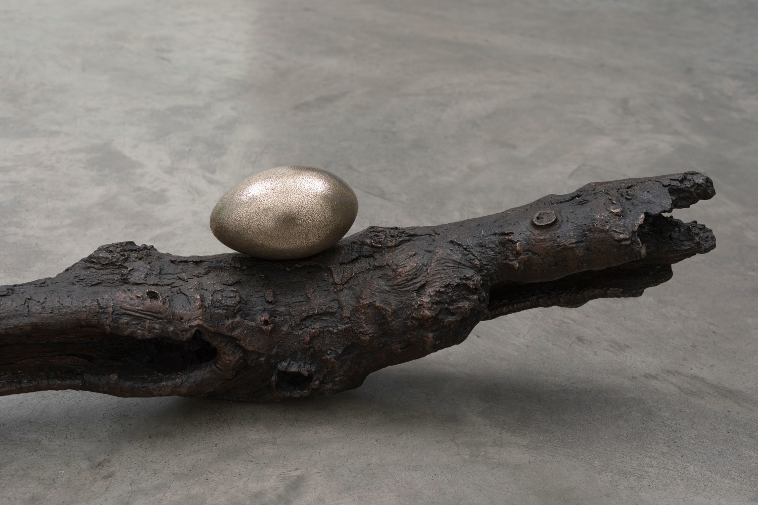 Dorothy Cross&amp;nbsp;
Branch, 2017
cast bronze branch and three polished bronze eggs
20 x 203 x 15 cm / 7.9 x 79.9 x 5.9 in