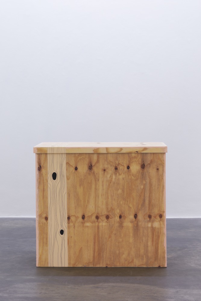 Andy Fitz

Pinocchio&amp;rsquo;s Bitter End (Snuffed Out!),&amp;nbsp;2022

wood, paint, graphite

98 x 107.5 x 72.5 cm / 38.6 x 42.3 x 28.5 in