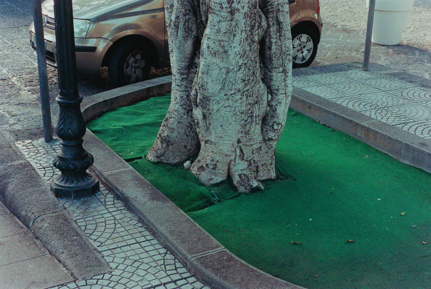 Samuel Laurence Cunnane, Fabric, 2023