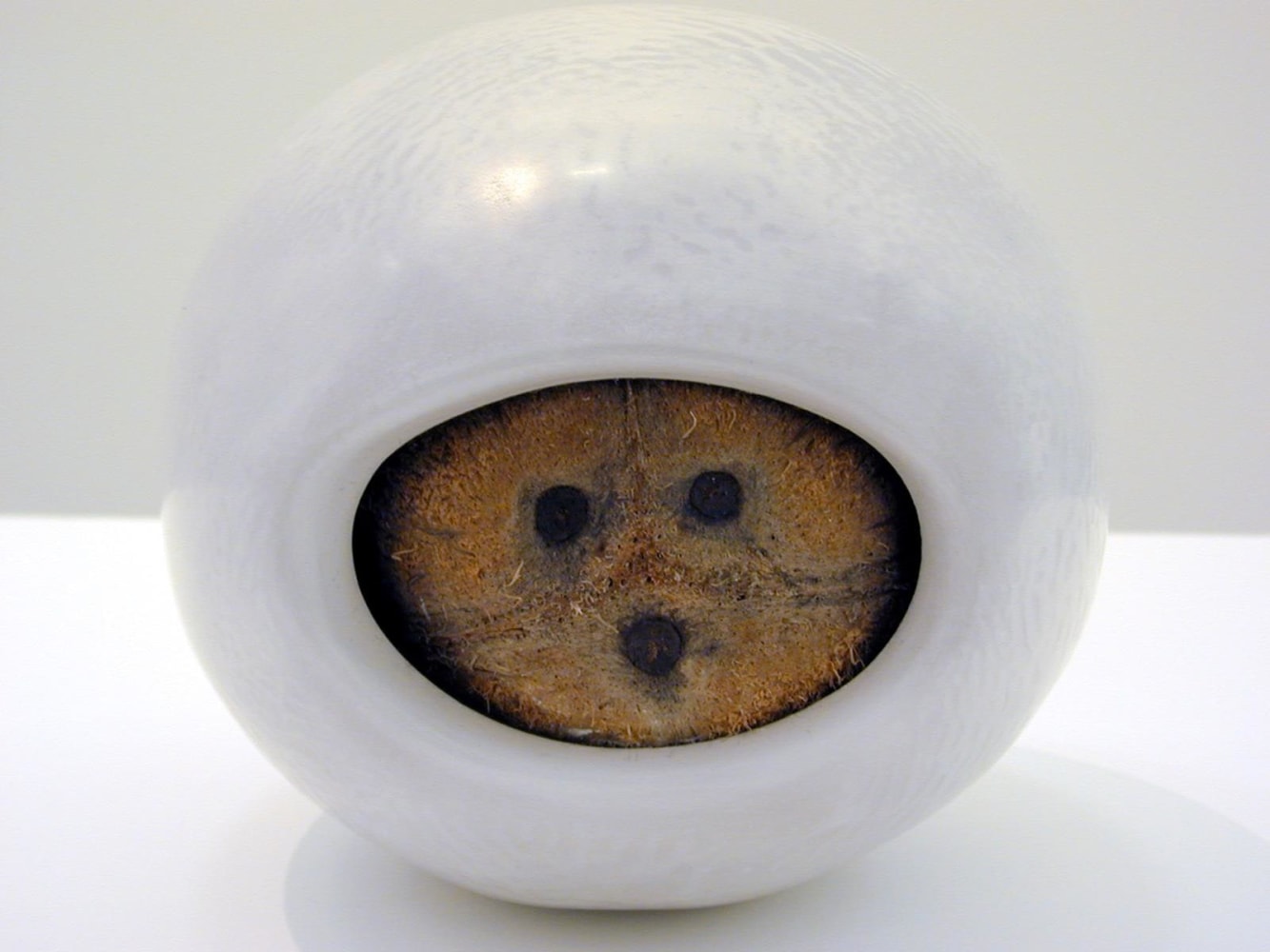 Siobhán Hapaska, Safe coconut