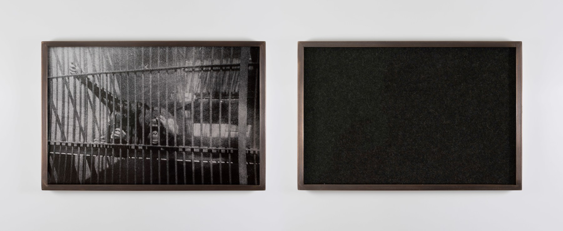 Ailbhe N&amp;iacute; Bhriain&amp;nbsp;
Untitled (cage), 2023
diptych, pigment print on Hahnemühle Photo Rag Metallic, wool, brass frame with museum glass, edition of 3
15.3 x 22.6 x 2.5 cm /&amp;nbsp;6 x 8.9 x 1 in each framed