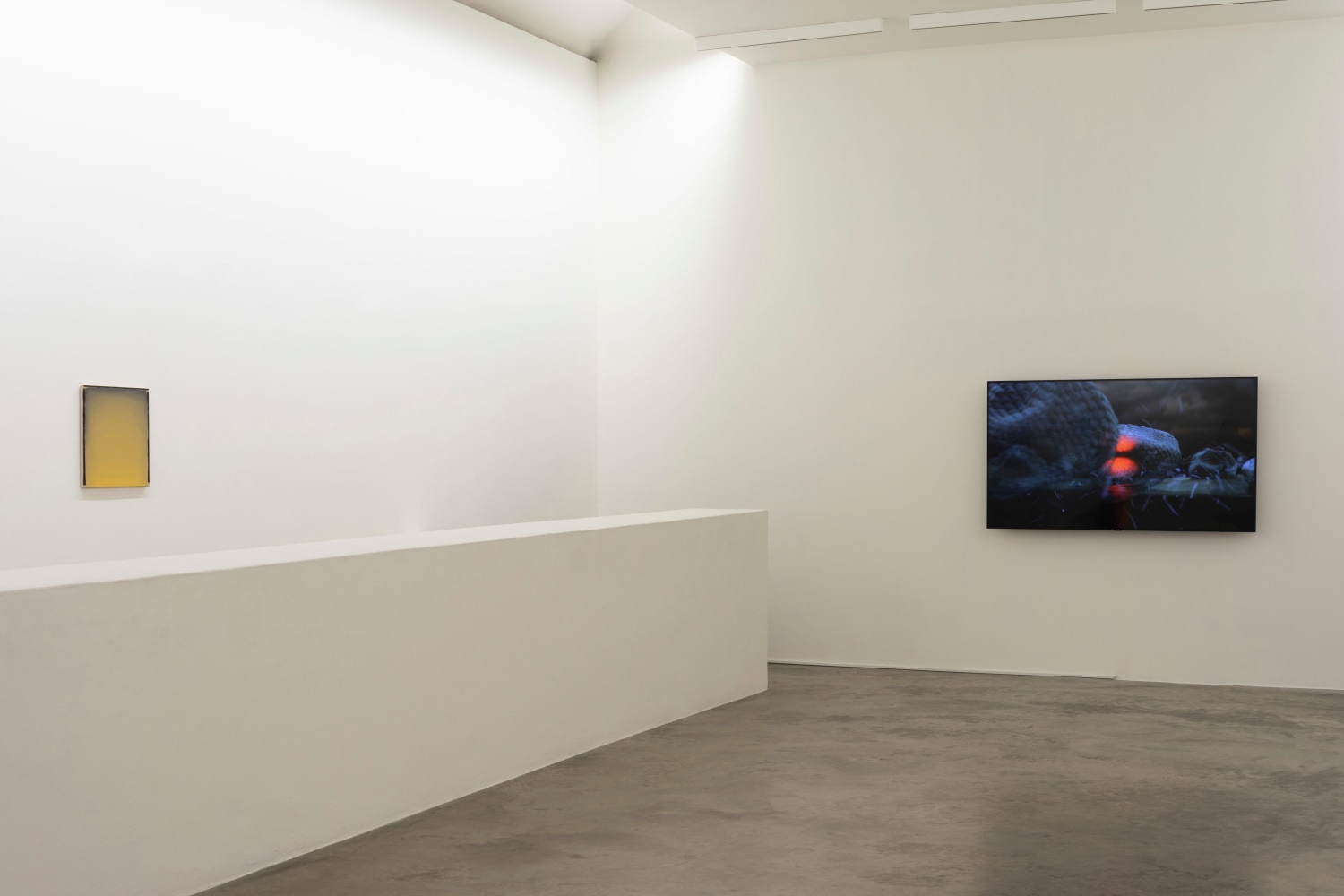 like the light at the beginning of the world