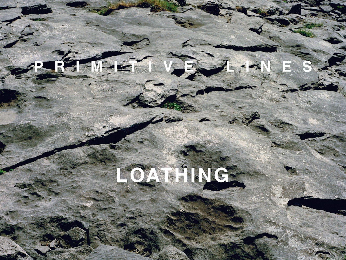 Willie Doherty&amp;nbsp;
Native Disorders I, 1991
c-type photograph with text mounted on masonite, edition of 3
114.3 x 152.4 cm / 45 x 60 in&amp;nbsp;

&amp;nbsp;