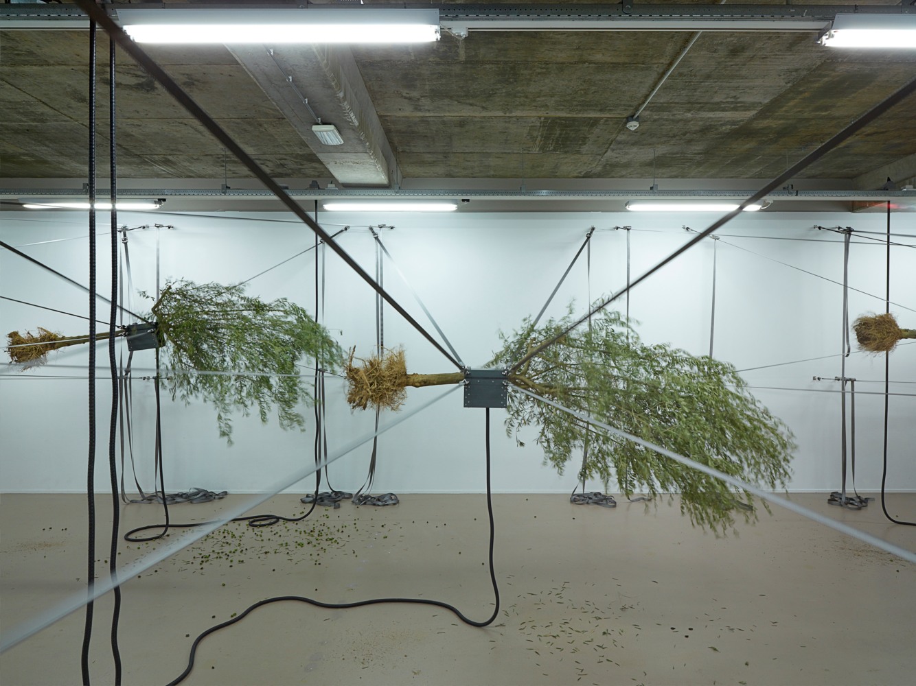 Siobh&amp;aacute;n Hapaska
Sensory Spaces, 2014
Museum Boijmans Van Beuningen, Rotterdam, The Netherlands
Photo: Hans Wilschut, Rotterdam

&amp;nbsp;