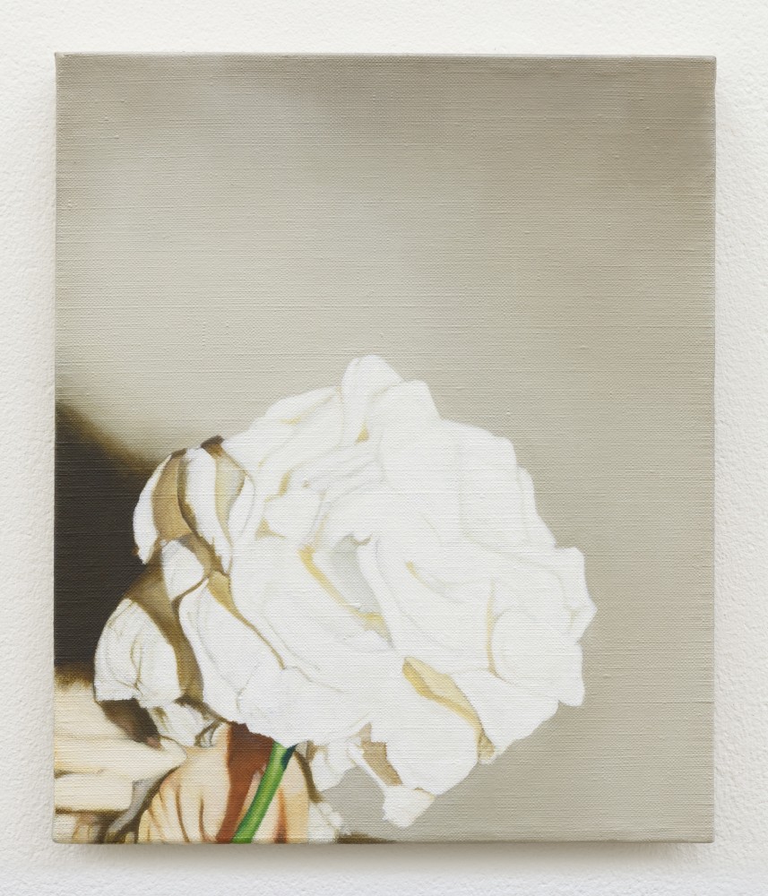 Marcel Vidal&amp;nbsp;
White Rose, 2017
oil on linen
30 x 25 cm / 11.8 x 9.8 in&amp;nbsp; &amp;nbsp;

&amp;nbsp;