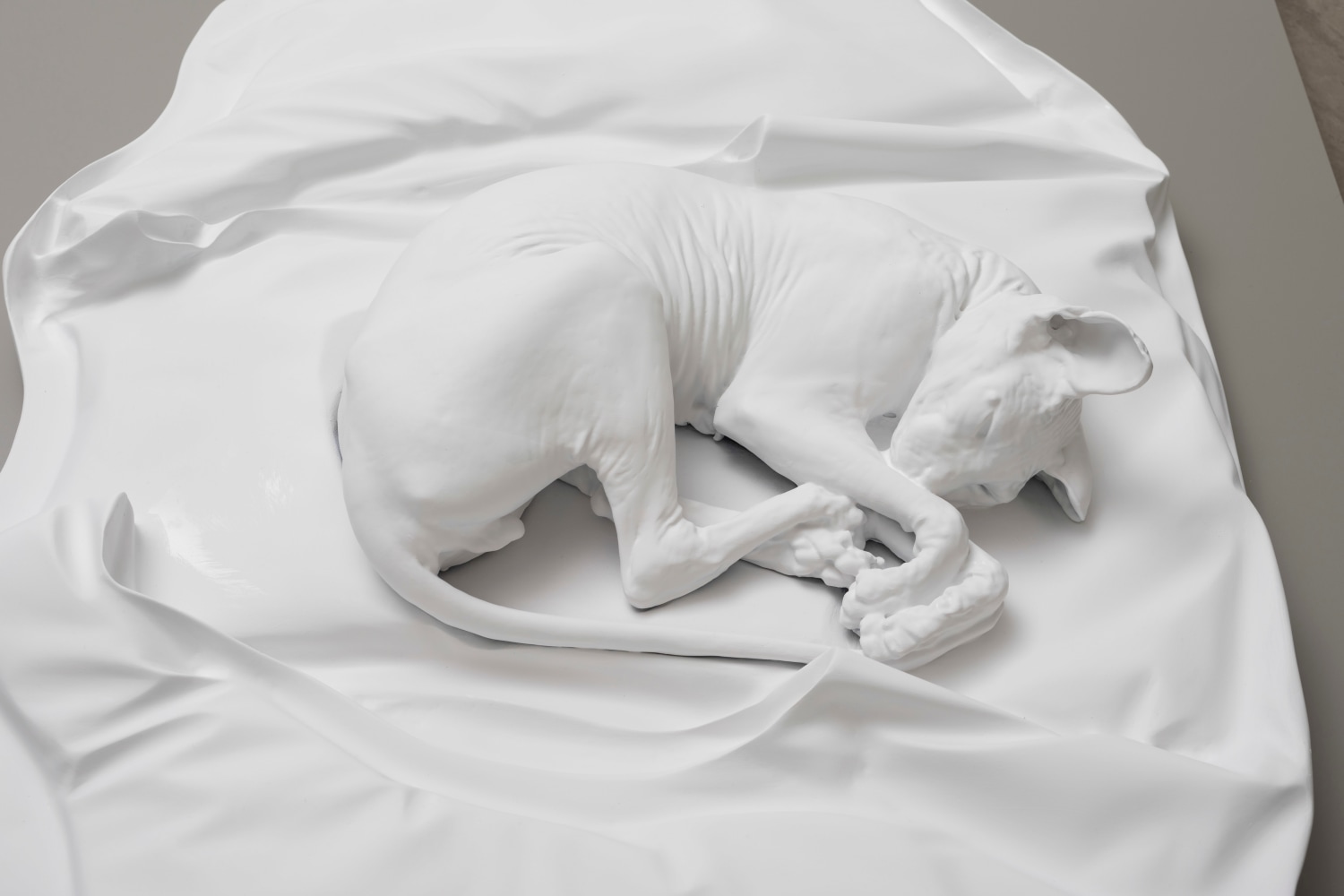 Ailbhe N&amp;iacute; Bhriain&amp;nbsp;
We have reached a certain depth (I), 2023
resin, polyurethane, enamel, acrylic
23 x 141 x 85 cm / 9.1 x 55.5 x 33.5 in&amp;nbsp;
10 x 200 x 104 cm / 3.9 x 78.7 x 40.9 in plinth