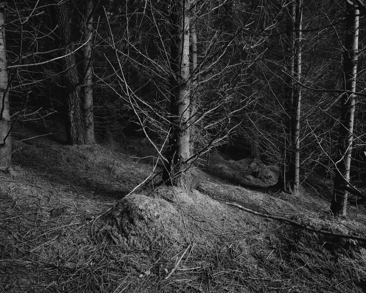 Willie Doherty, Wrong Place, 2023