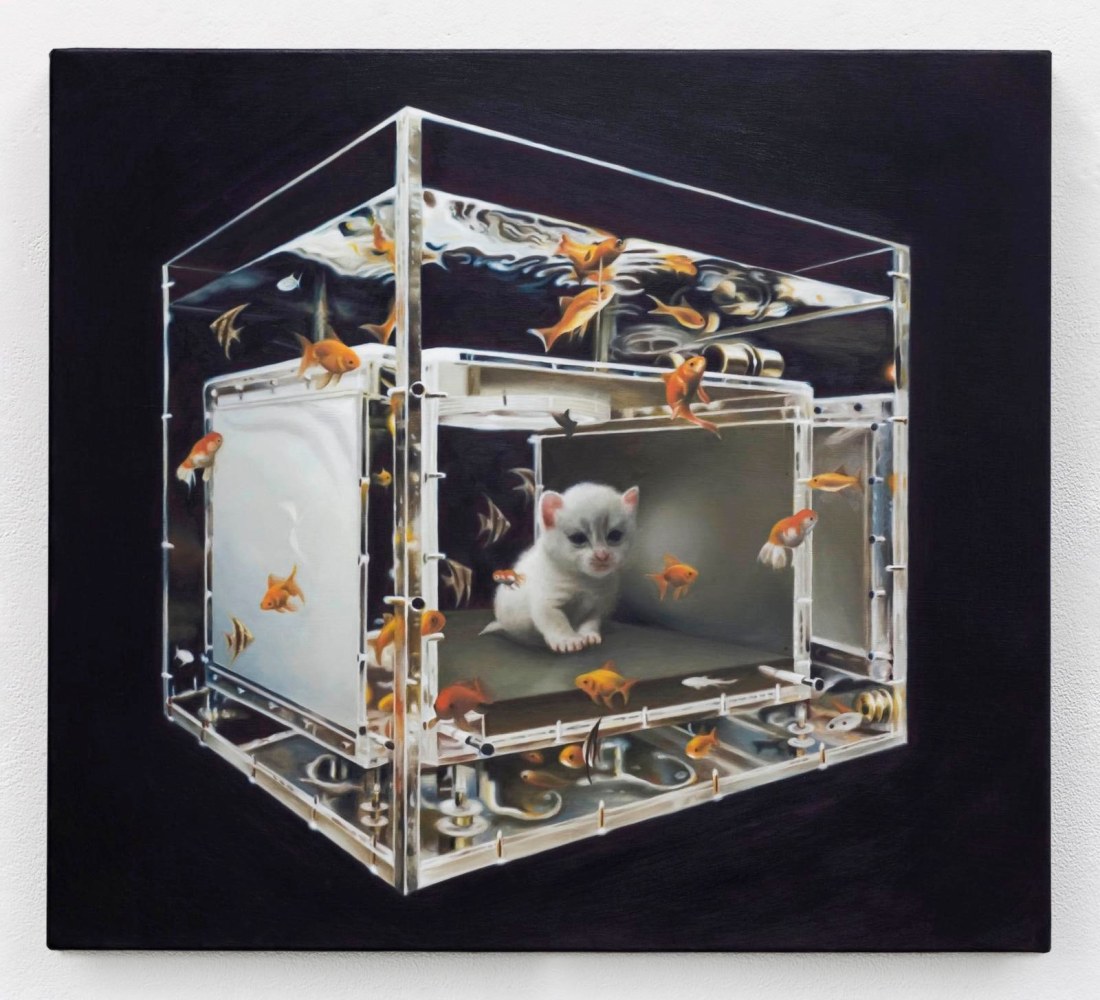 Eoin Mc Hugh, Romantic Science