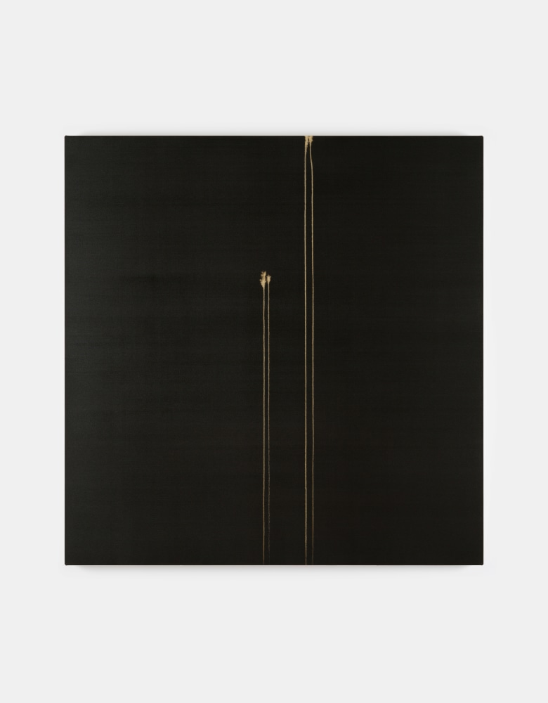 Callum Innes&amp;nbsp;

Two Identified Forms,&amp;nbsp;2025

oil on canvas

160 x 156 cm / 63 x 61.4 in&amp;nbsp; &amp;nbsp;