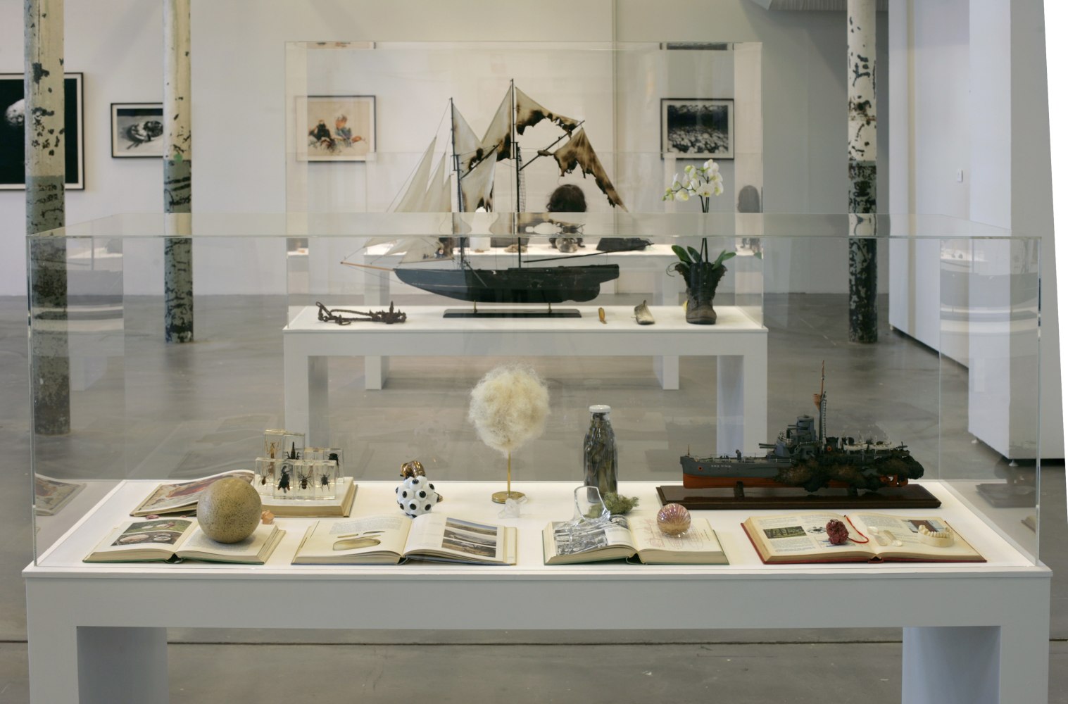 Eoin McHugh
Urpflanze, 2012
TR1 Kunsthalle, Tampere, Finland