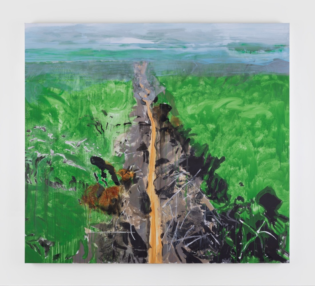 Brian Maguire
The Clearcut Amazon
2023
acrylic on canvas
290 x 320 cm /&amp;nbsp;114.2 x 126 in&amp;nbsp; &amp;nbsp;

&amp;nbsp;

&amp;nbsp;