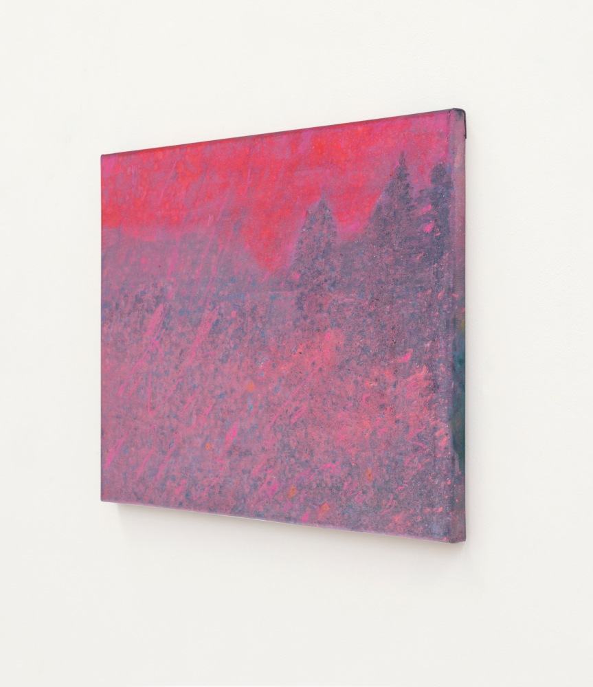 Elizabeth Magill&amp;nbsp;
Flush, 2021
oil on canvas
35.5 x 45.5 cm / 14 x 17.9 in&amp;nbsp; &amp;nbsp;

&amp;nbsp;