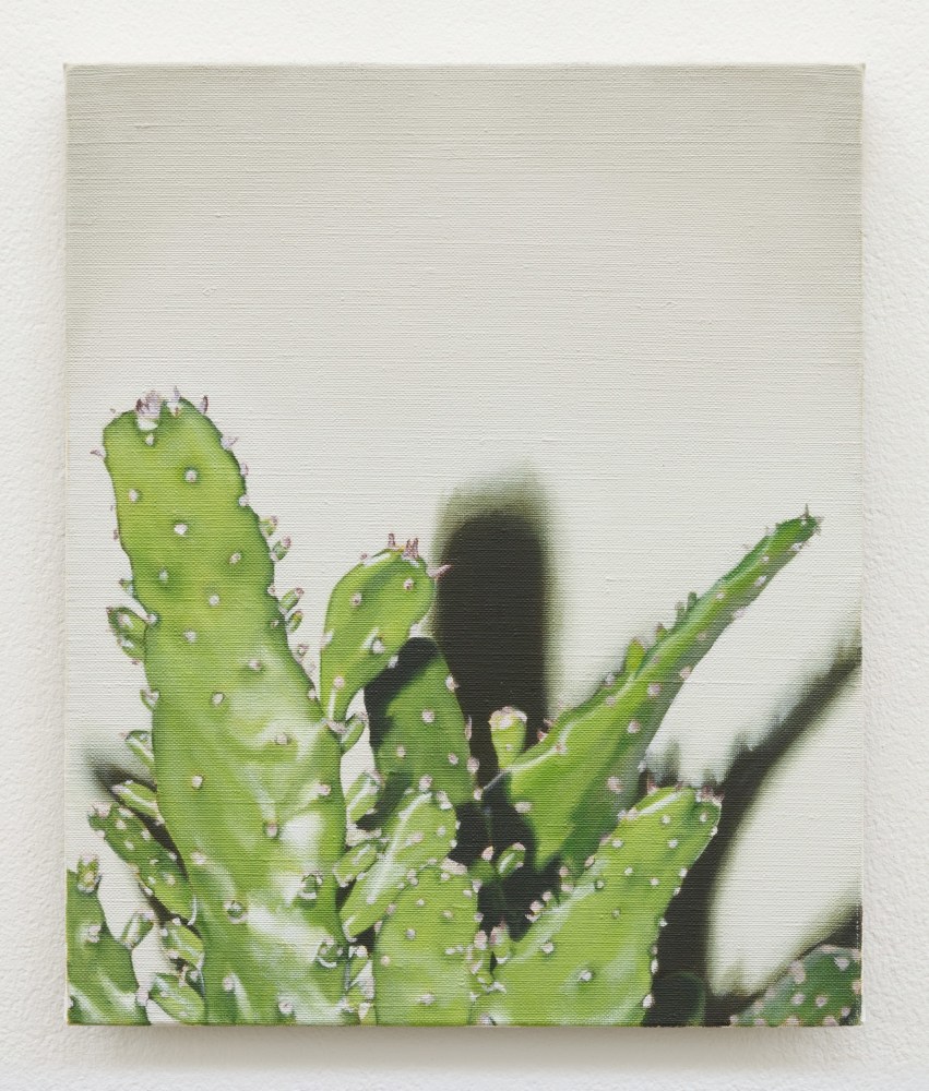 Marcel Vidal&amp;nbsp;
Cactus, 2017
oil on linen
30 x 25 cm / 11.8 x 9.8 in&amp;nbsp; &amp;nbsp;

&amp;nbsp;
