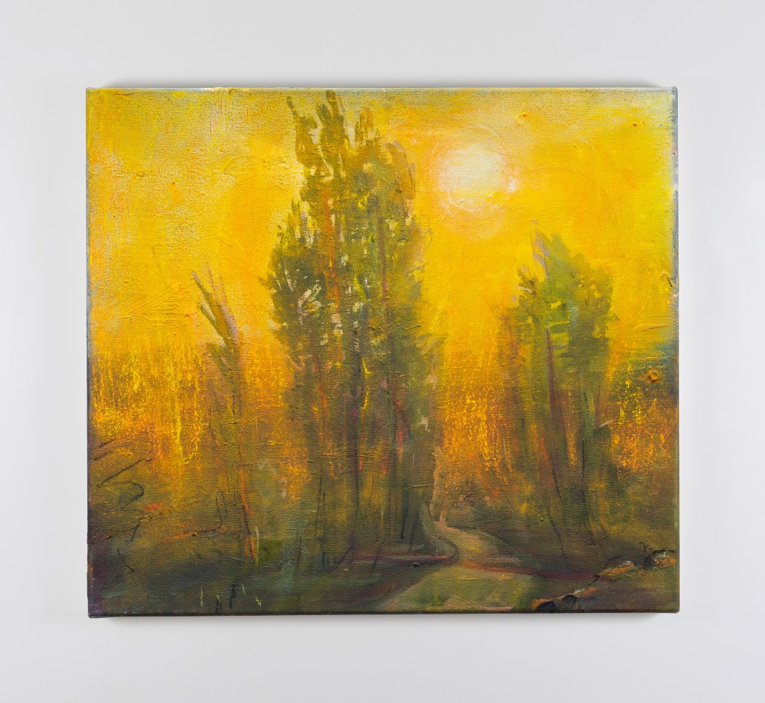 Elizabeth Magill
summer lease, 2022
oil on canvas
46 x 40.7 cm / 18.1 x 16 in