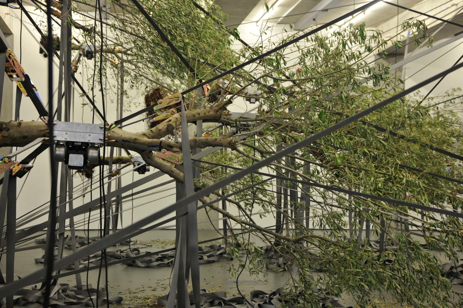 Siobh&amp;aacute;n Hapaska
some are nights other stars, 2016
Towner Eastbourne, UK
Photo: Alison Bettles

&amp;nbsp;