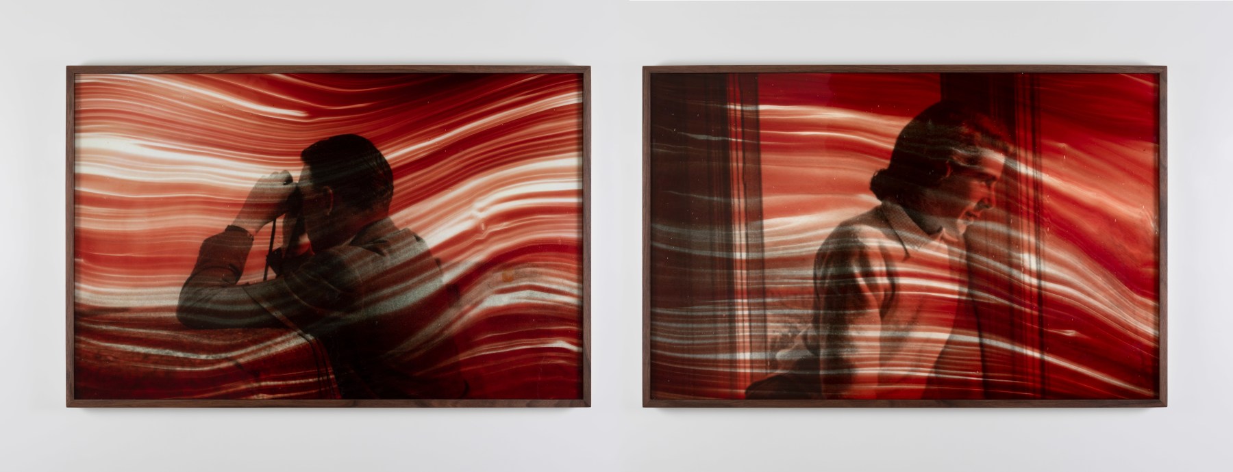 Dorothy Cross  Bloodlines Series (Binoculars &amp; Window), 202