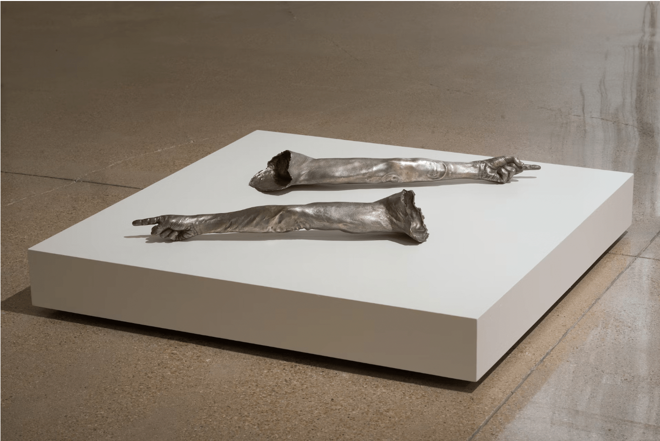 Dorothy Cross in Tangible Nothing