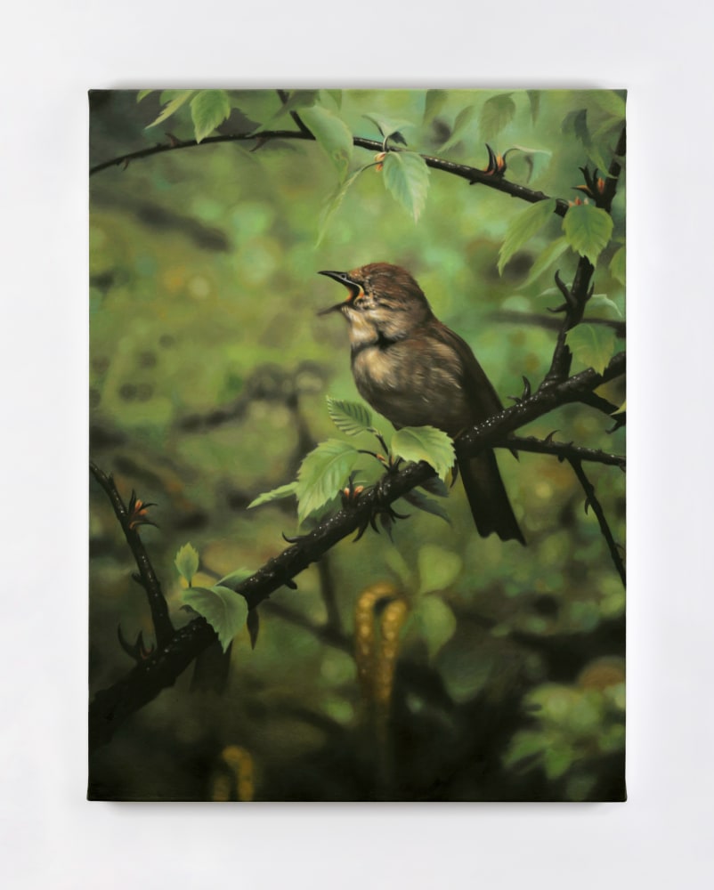 Eoin Mc Hugh&amp;nbsp;
fruit, thing without parts, 2013
oil on canvas mounted on aluminium
47 x 35 cm / 18.5 x 13.8 in&amp;nbsp; &amp;nbsp;