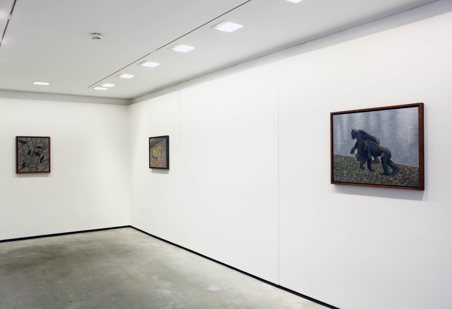 Stephen McKenna
The Paradise [36], 2012
Douglas Hyde Gallery, Dublin, Ireland