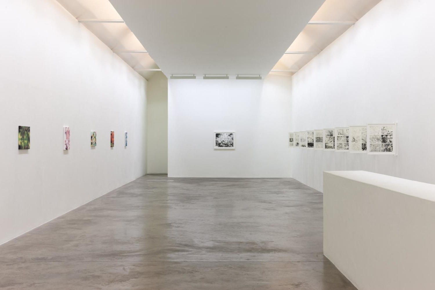 Eoin Mc Hugh,&amp;nbsp;Loje, jelo, laso, Kerlin Gallery, October 2019