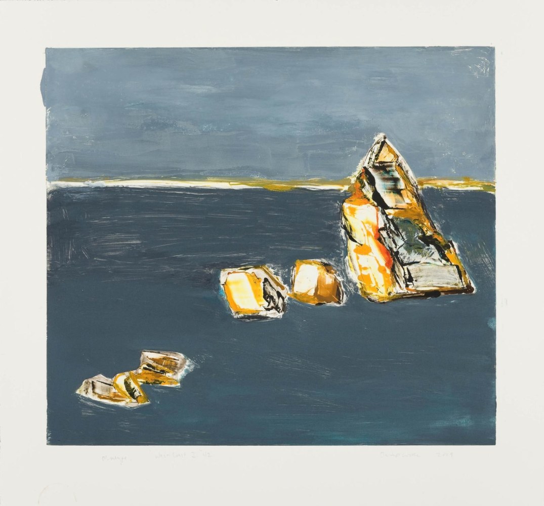 Barrie Cooke  West Coast I N.Z.