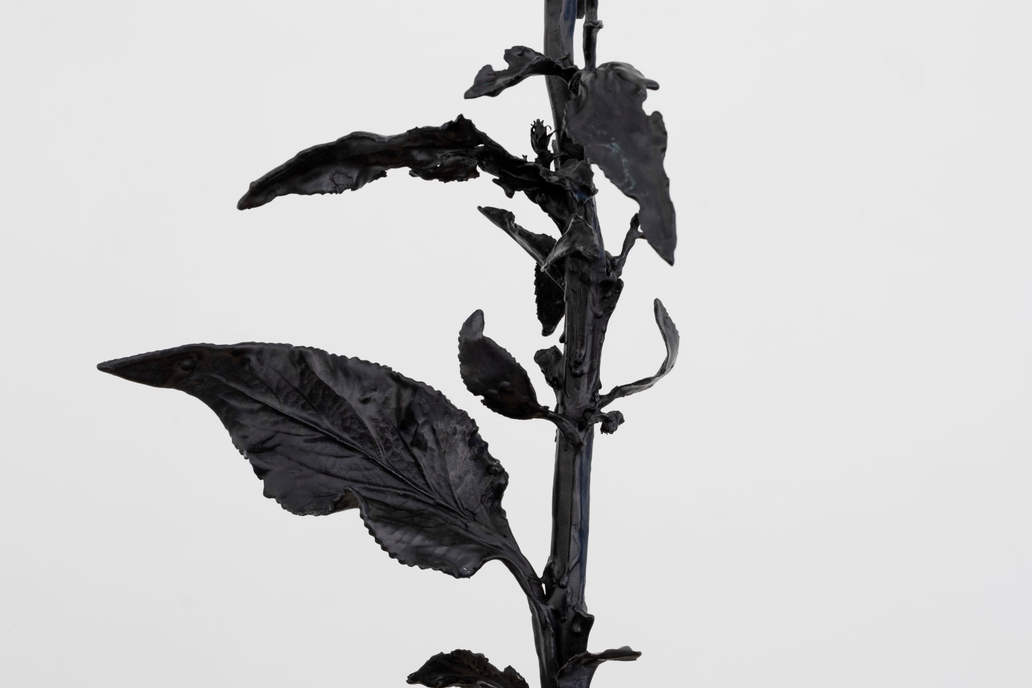 Dorothy Cross
Foxglove, 2024
cast bronze
125 x 58 x 43 cm / 49.2 x 22.8 x 16.9 in
39 x 79.5 x 64.5 cm / 15.4 x 31.3 x 25.4 in plinth