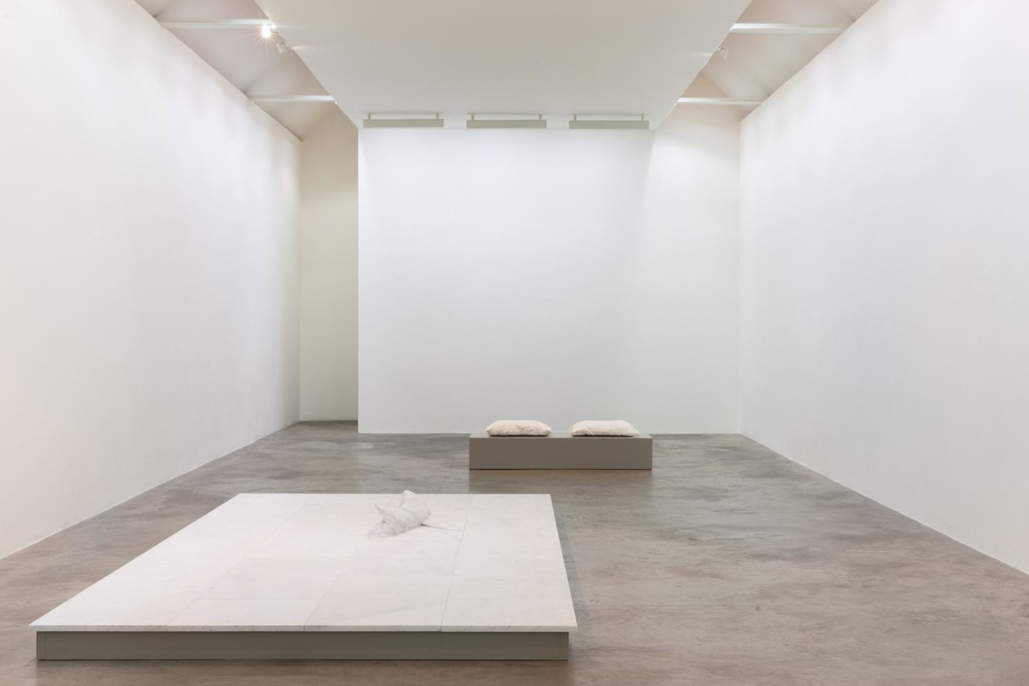 Dorothy Cross I dreamt I dwelt Kerlin Gallery 6 September - 19 October 2019