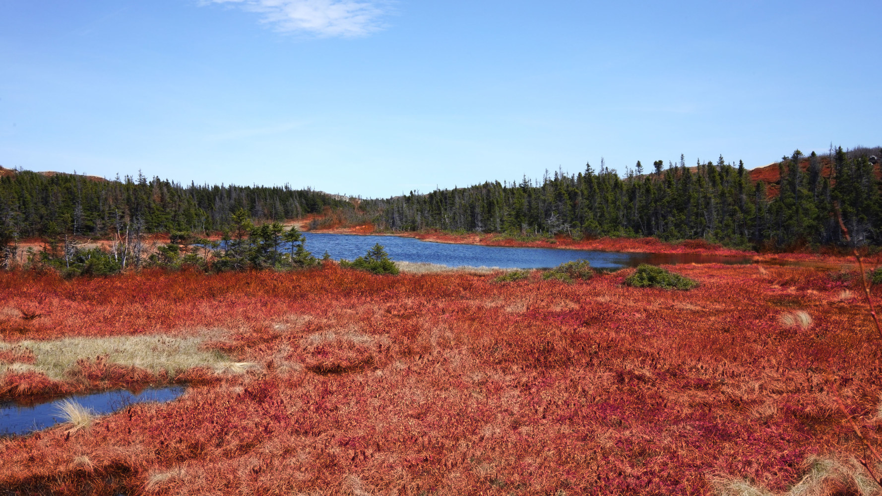 Liam Gillick, Quantified Variability, 2024, 4K video, colour, sound. Filmed on Fogo Island, Newfoundland.