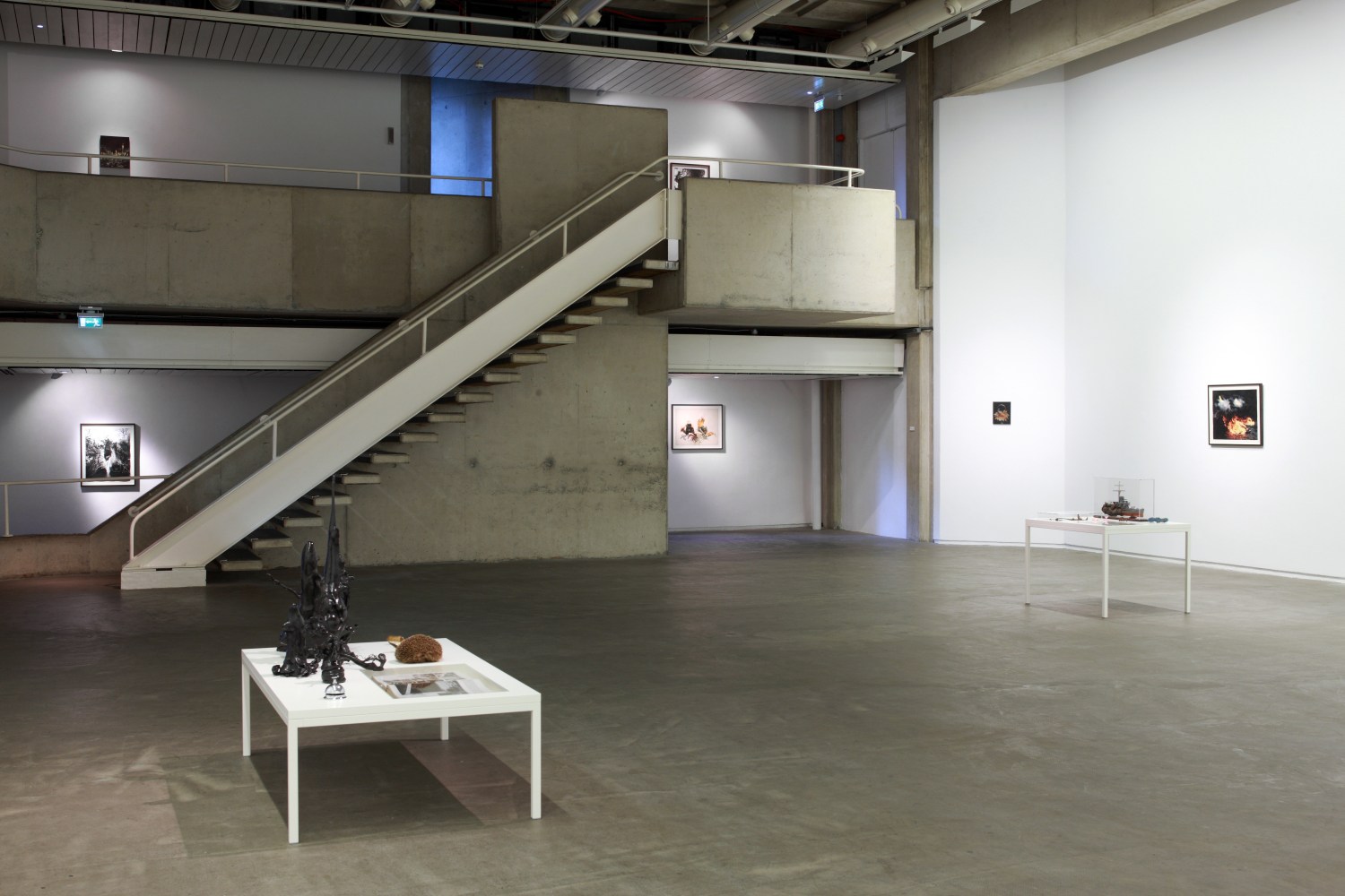 Eoin McHugh
Augury, 2013
Douglas Hyde Gallery, Dublin, Ireland