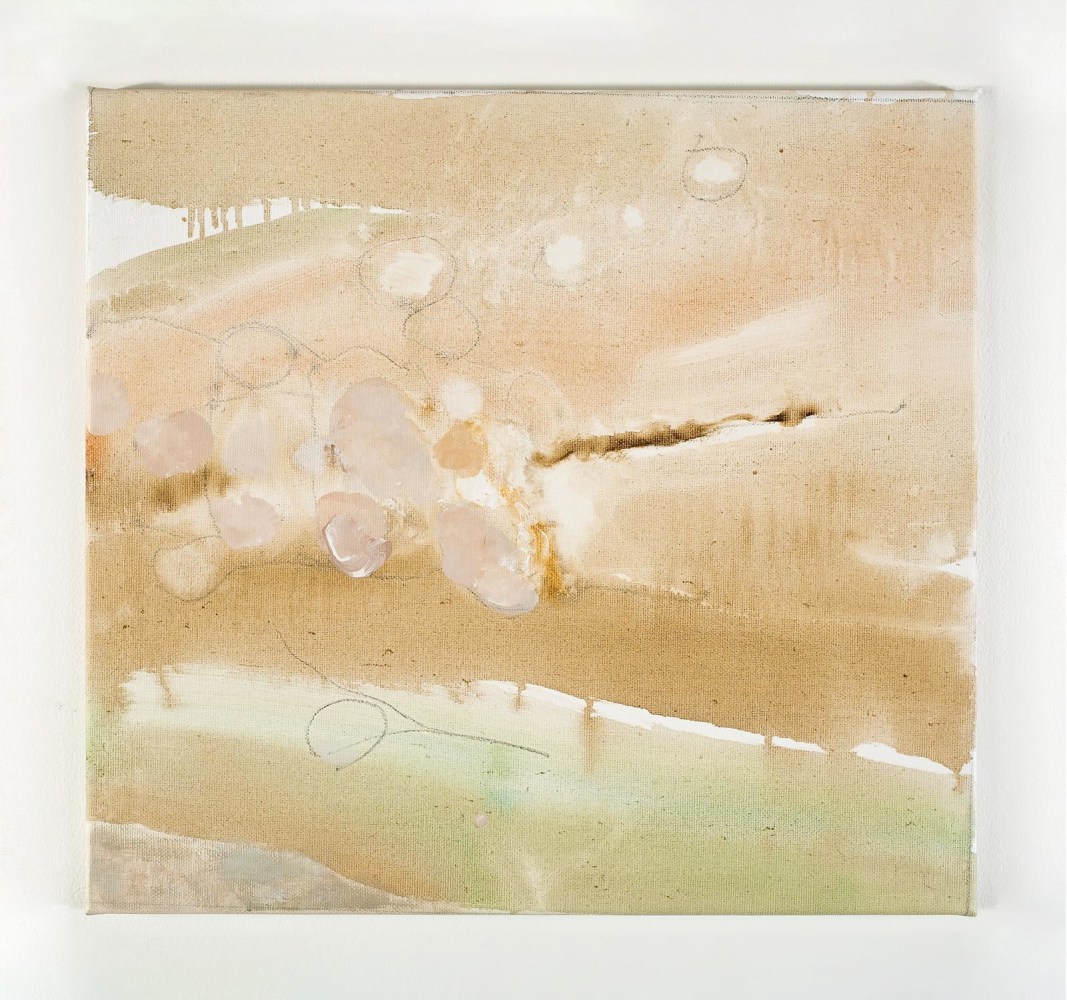 Barrie Cooke, Didymosphenia Geminata