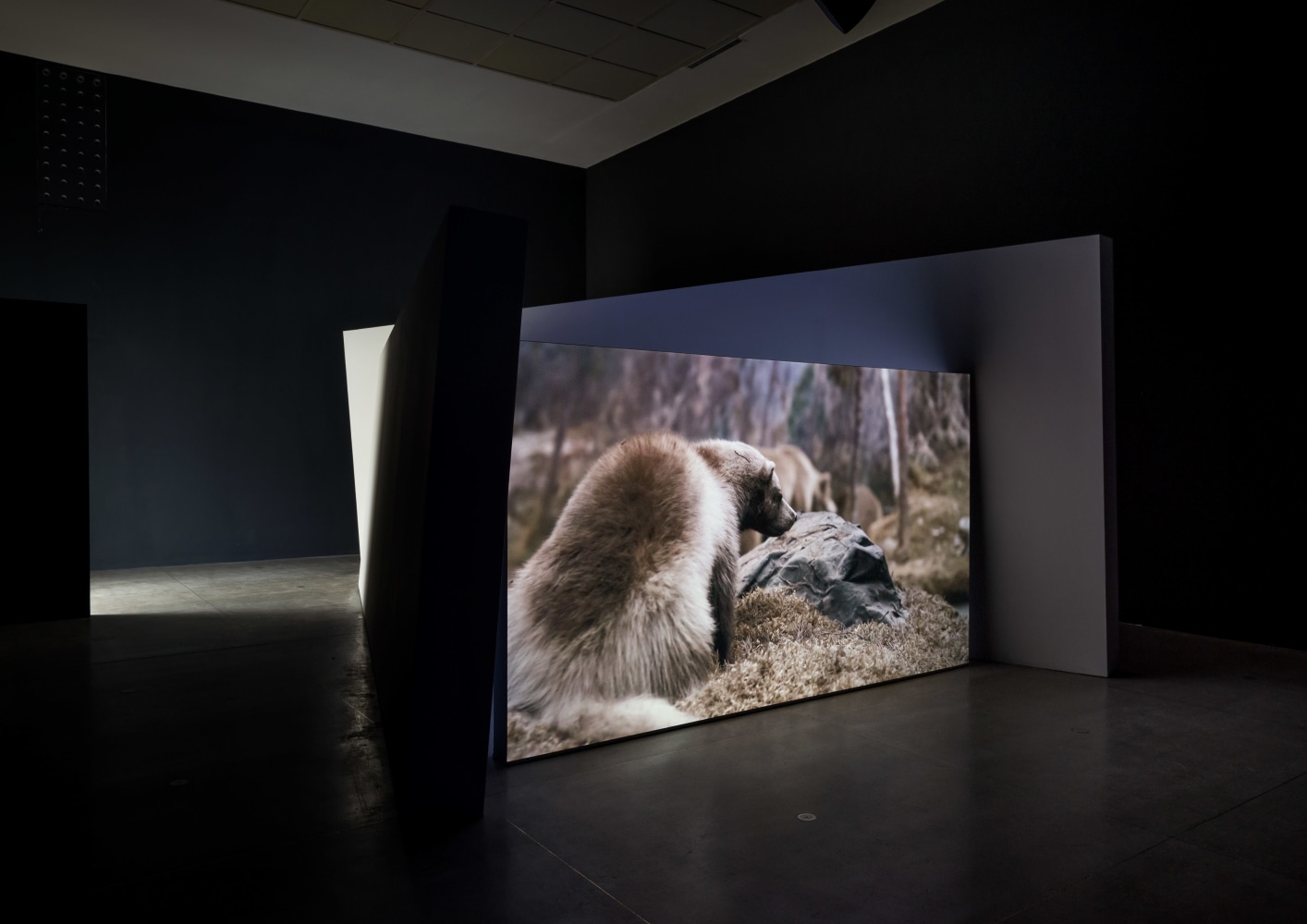 Gerard Byrne
Jielemeguvvie guvvie sjisjnjeli &amp;ndash; Film inside an Image,&amp;nbsp;2016
single channel film, back projection 17 minutes, continuous loop
Installation view, Secession, Vienna 2019, photo: Iris Ranzinger