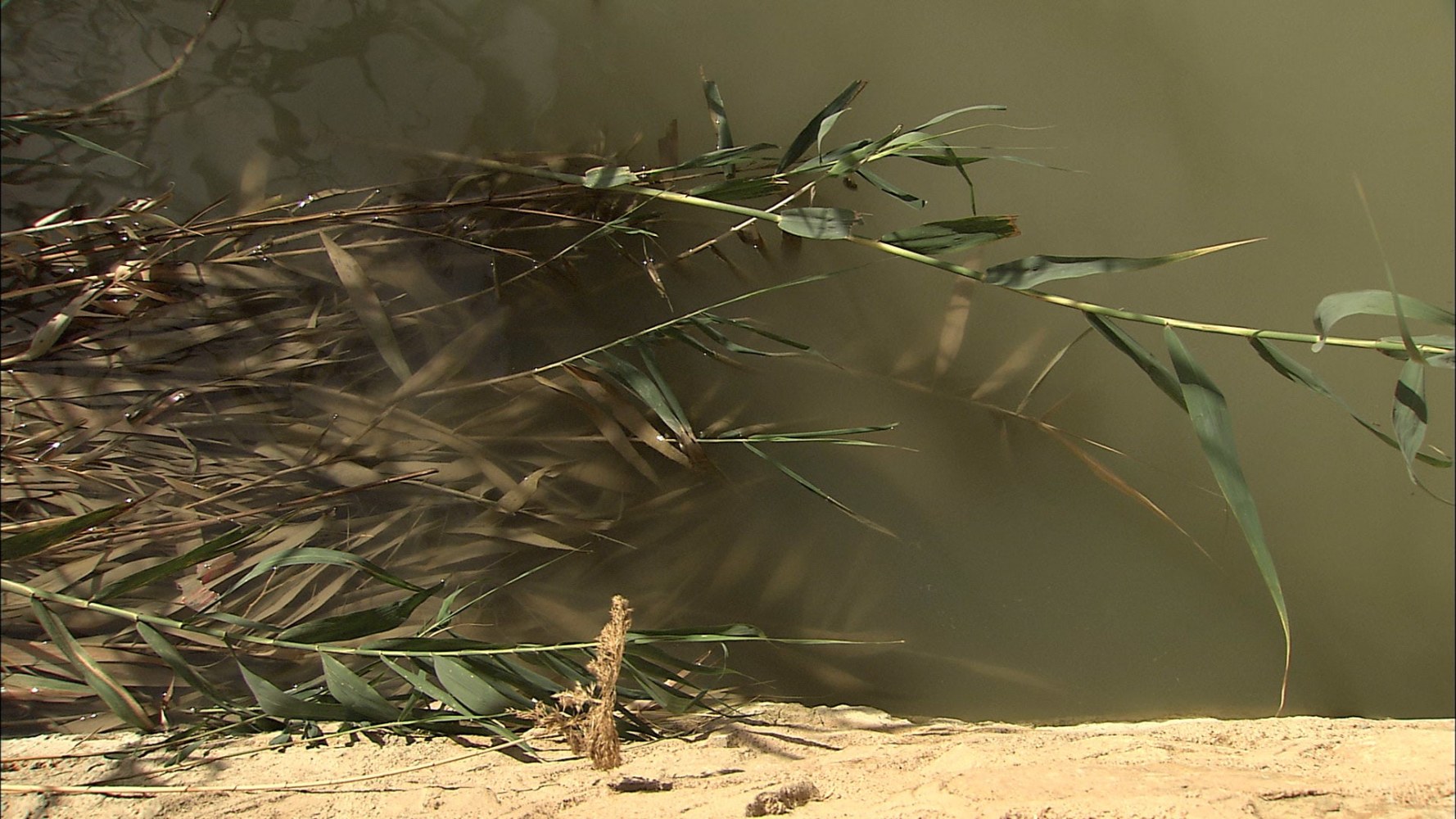 Willie Doherty&amp;nbsp;

Segura, 2010

high-definition video (colour and sound)

Duration: 10 minutes