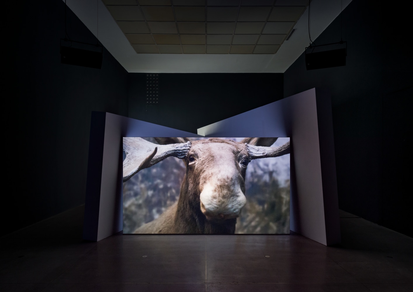 Gerard Byrne
Upon all the living and the dead, 2019
Secession, Vienna