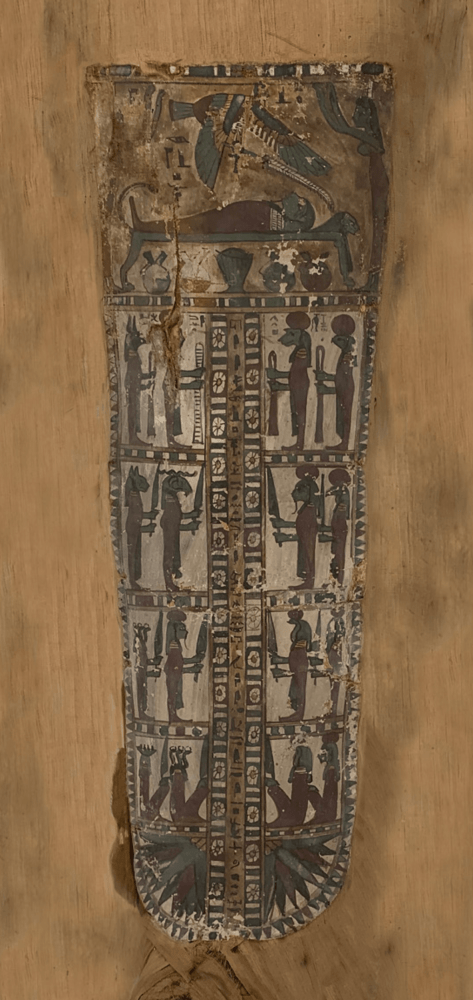 Dorothy Cross, Kinship