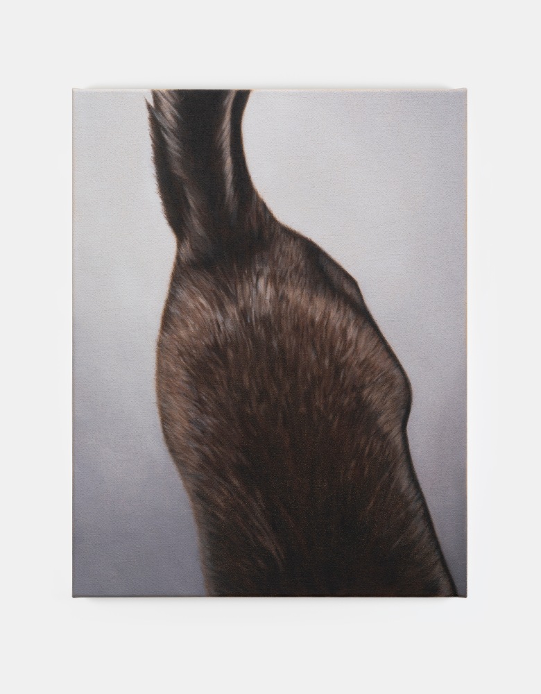 Marcel Vidal

Cat II,&amp;nbsp;2024

oil on linen

45 x 35 cm / 17.7 x 13.8 in