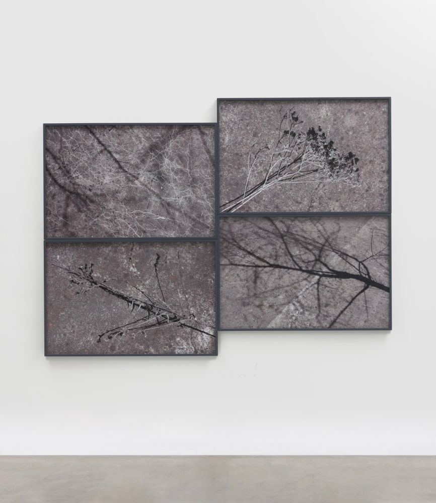 Willie Doherty
Ashen, Restless, 2018
quadriptych, framed pigment print mounted on Dibond, edition of 3
68 x 101.1 x 3.5 cm / 26.8 x 39.8 x 1.4 in each, framed
Collection of British Government Art Collection

&amp;nbsp;