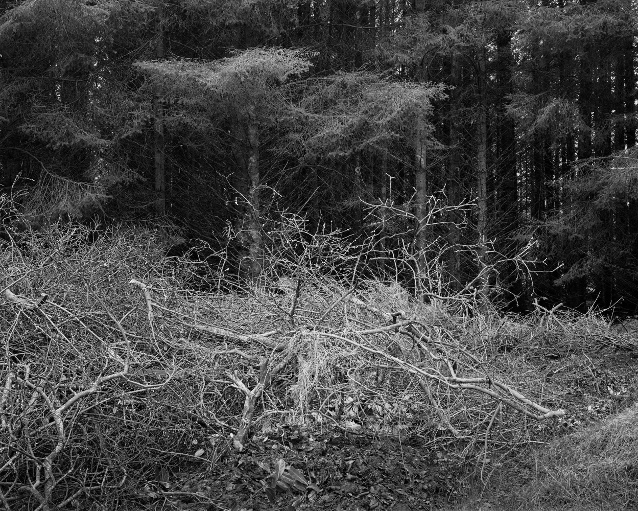 Willie Doherty, Forgotten, 2022