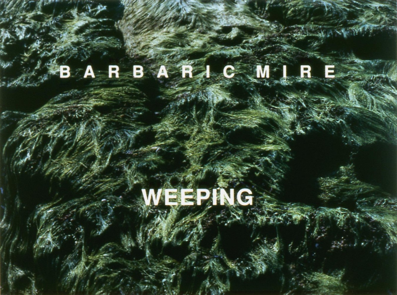 Willie Doherty, Native Disorders III