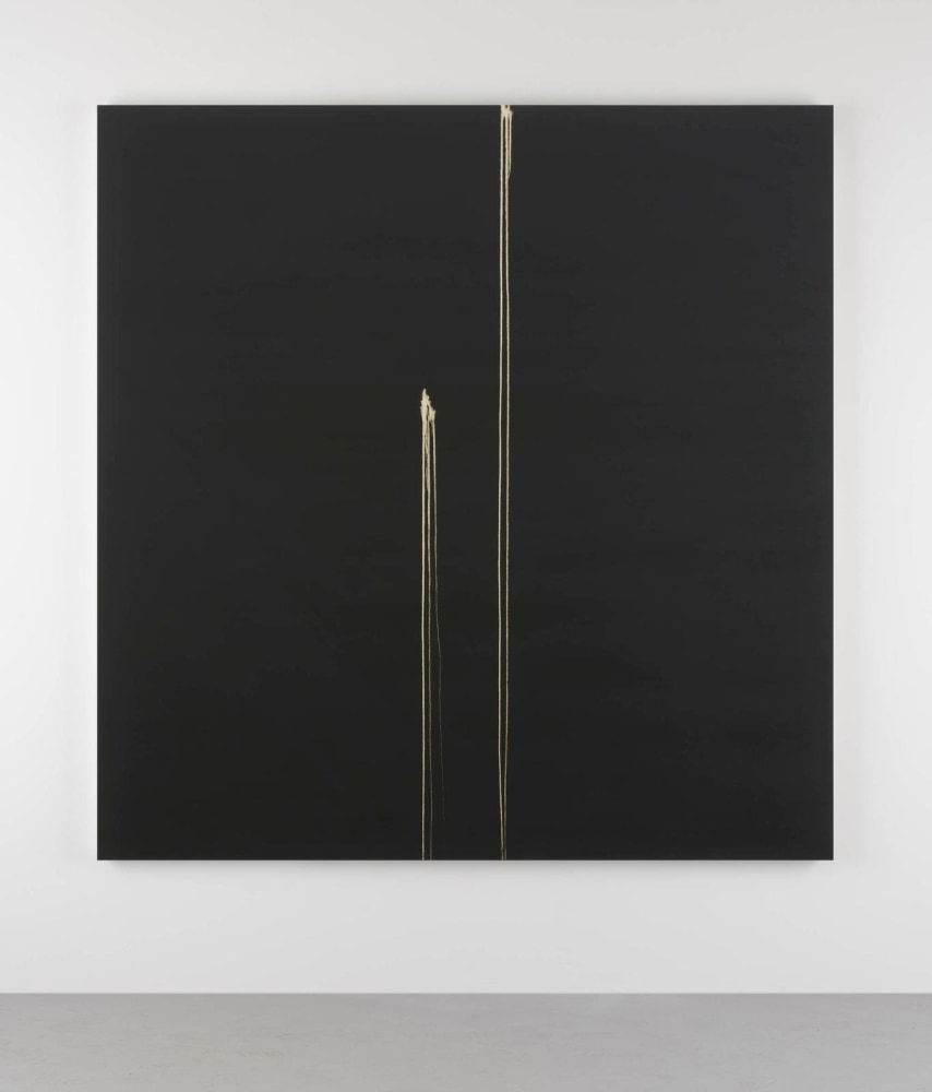 Callum Innes, Two Identified Forms