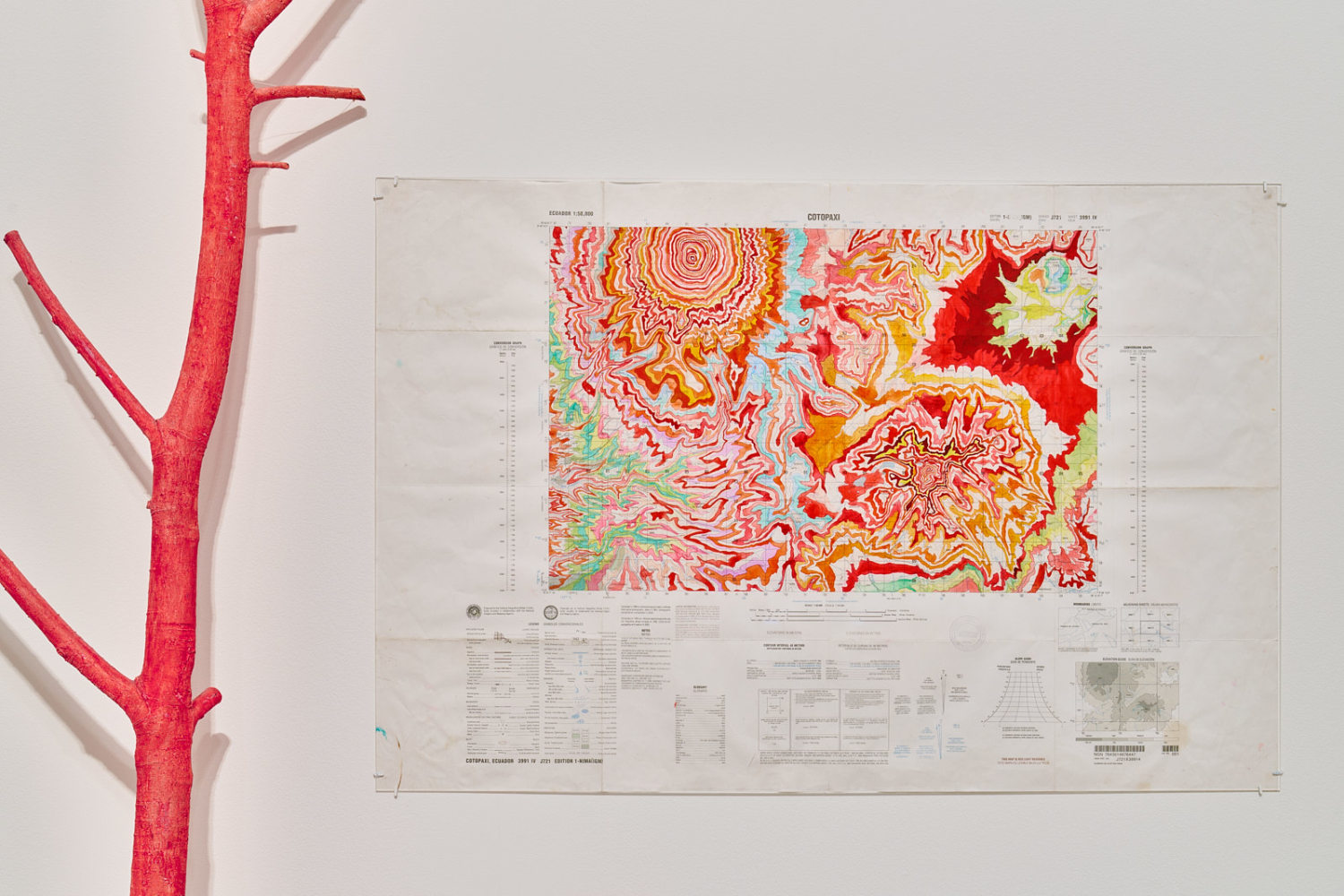 Kathy Prendergast, Stasis Field, installation view, John Hansard Gallery, Southampton, UK, 8 February – 3 May 2025. Photo by Reece Straw