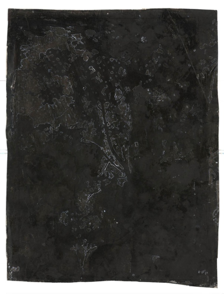 Kathy Prendergast, DARK WOODS # 6